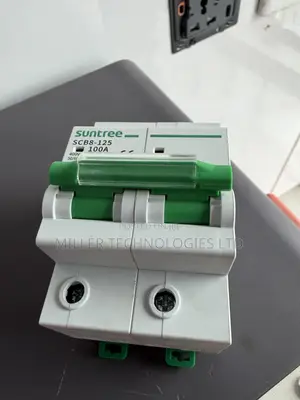 Suntree 100A Double Pole Electrical Breaker – SCB8-125