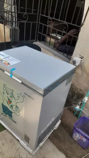 Brand New Skyrun BD-180AI Freezer for Kitchen and Store