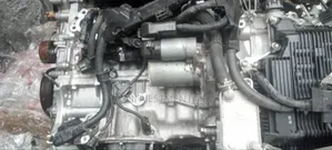 Toyota Corolla Engine 2025