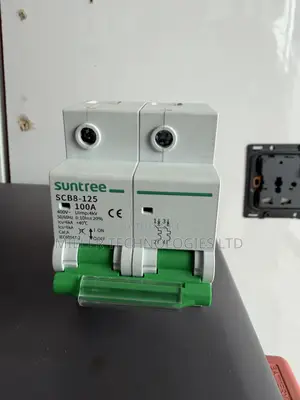 Original Suntree SCB8-125 100A 2P AC Circuit Breaker