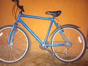 Adult Bicycle