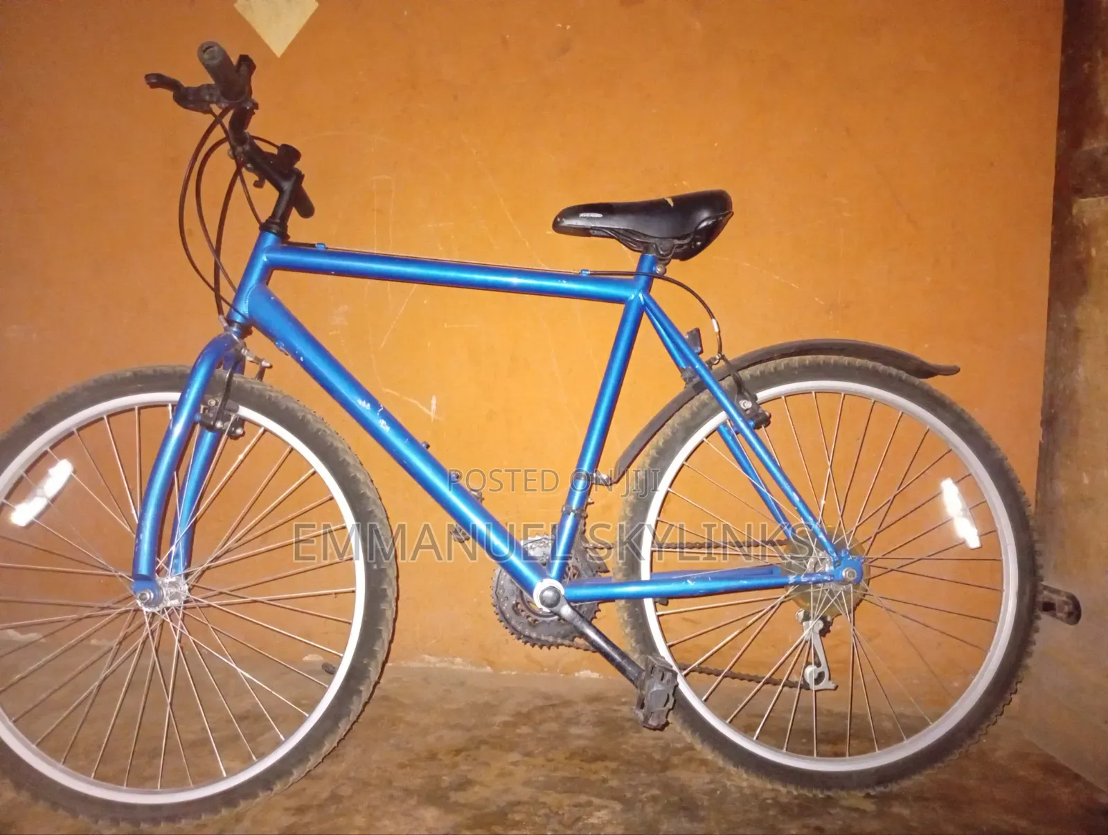 Adult Bicycle