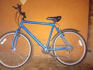 Adult Bicycle
