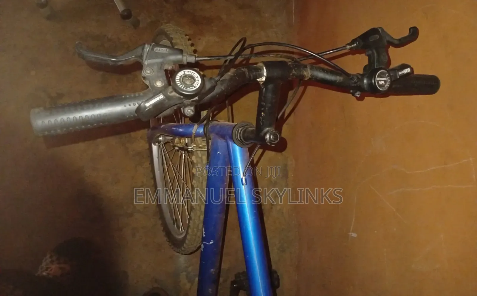 Adult Bicycle