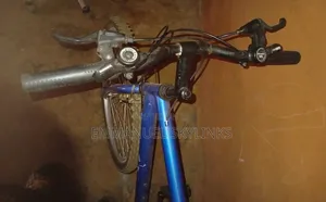 Adult Bicycle
