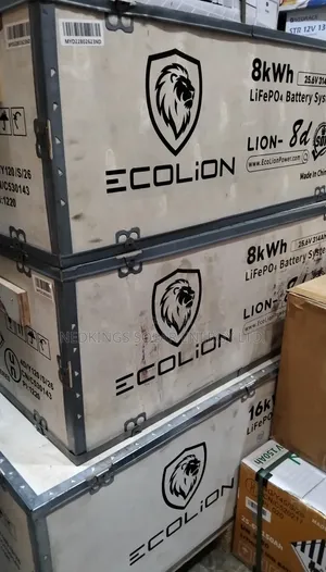 8kwh 24V EcoLion Lithium Battery