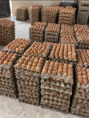 Chicken Eggs