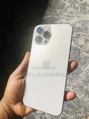 Apple iPhone 13 Pro Max 128 GB Rose Gold