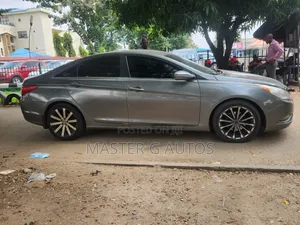 Hyundai Sonata 2010 Gray