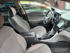 Hyundai Sonata 2010 Gray