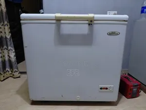 Haier Thermocool Deep Freezer