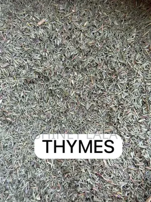 Almond Seed