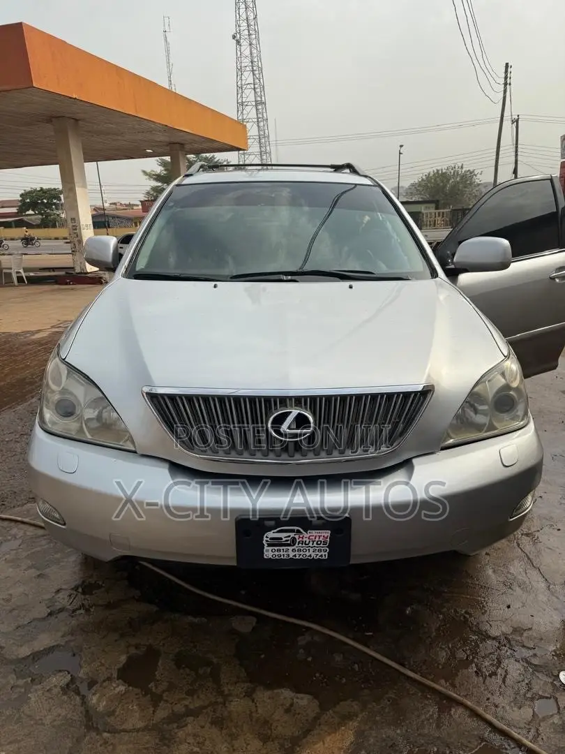 Lexus RX 2009 Silver
