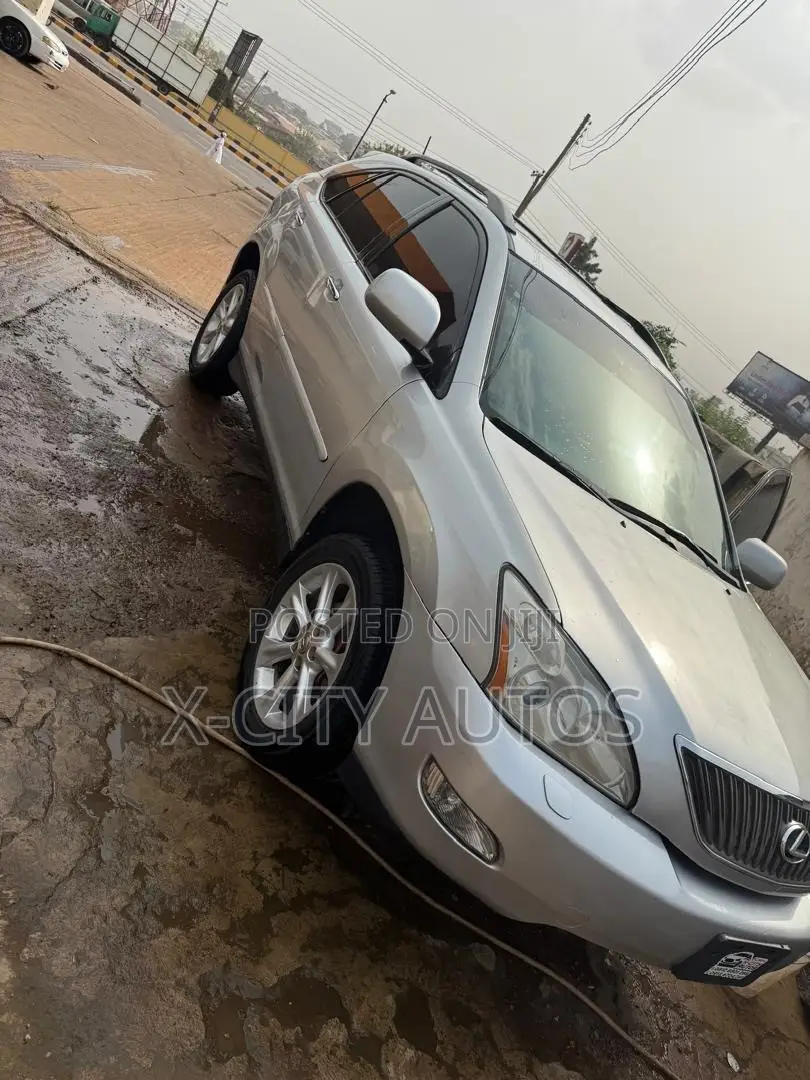 Lexus RX 2009 Silver