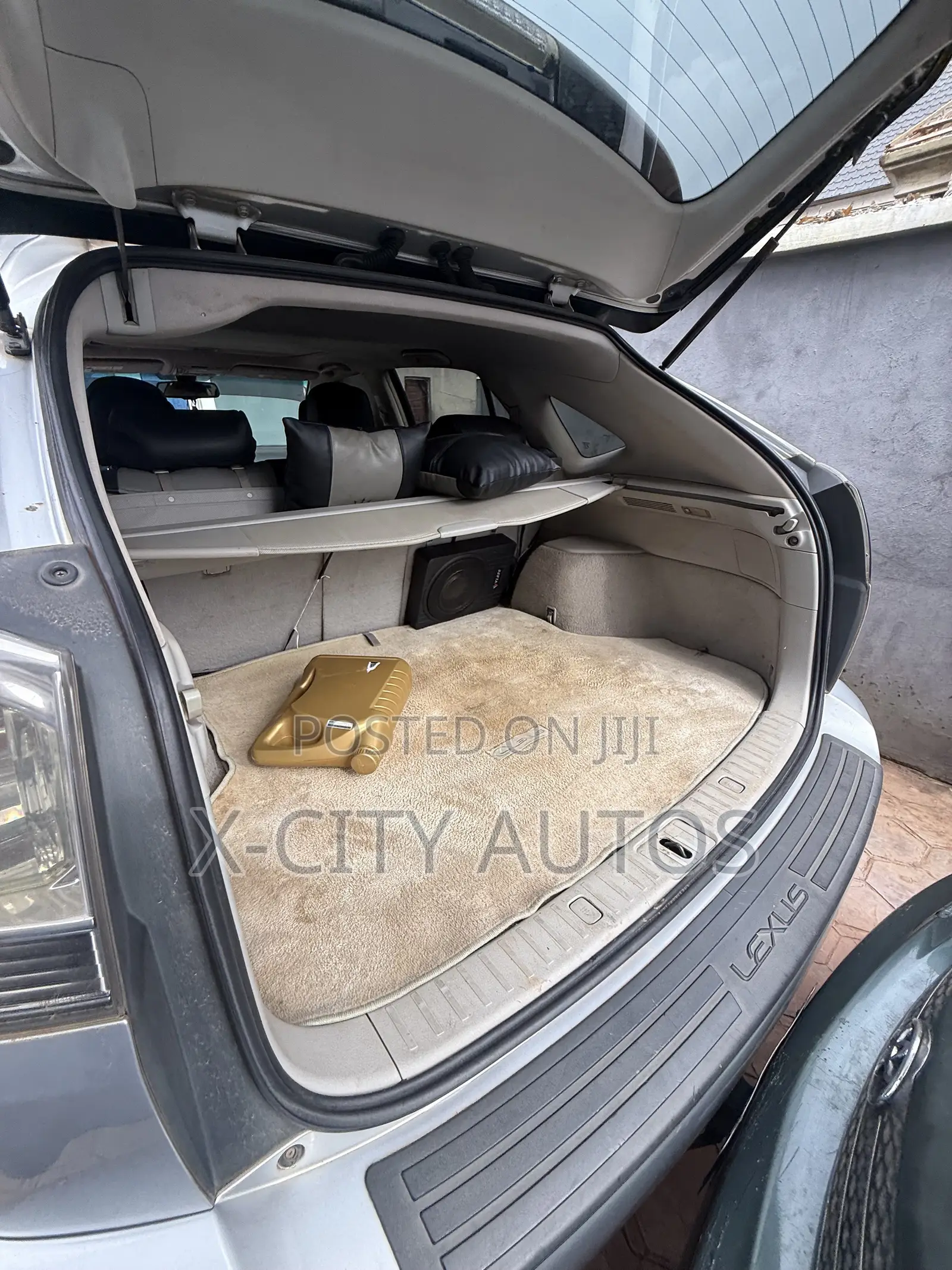 Lexus RX 2009 Silver