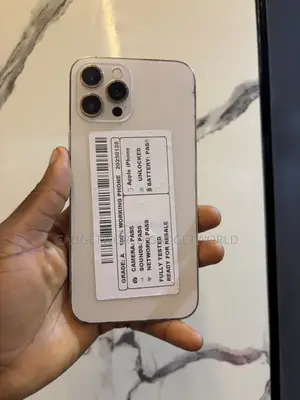 New Apple iPhone 12 Pro Max 256 GB Gold