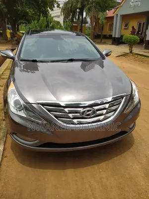 Hyundai Sonata 2013 Gray