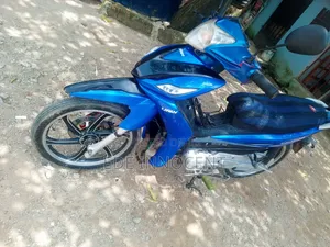 New Lifan 110cc 2024 Blue