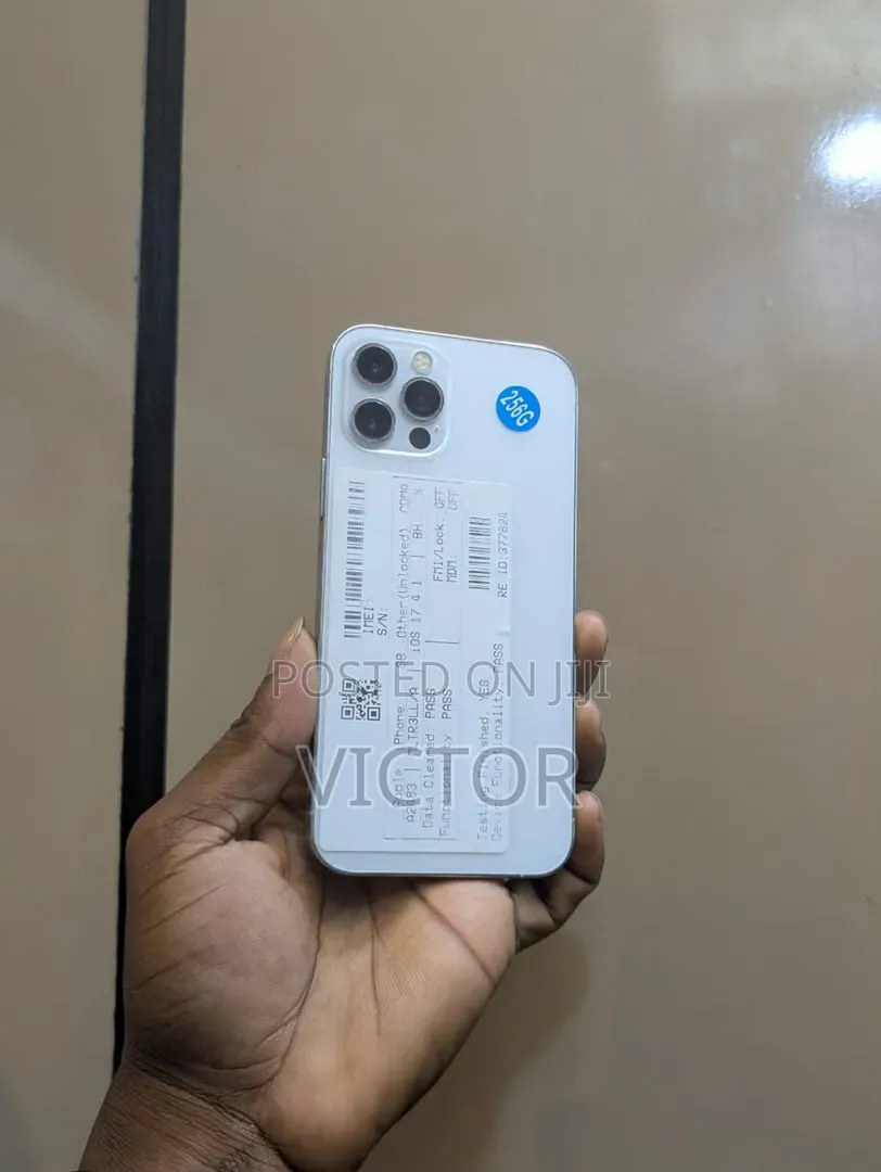 Apple iPhone 12 Pro Max 128 GB Silver