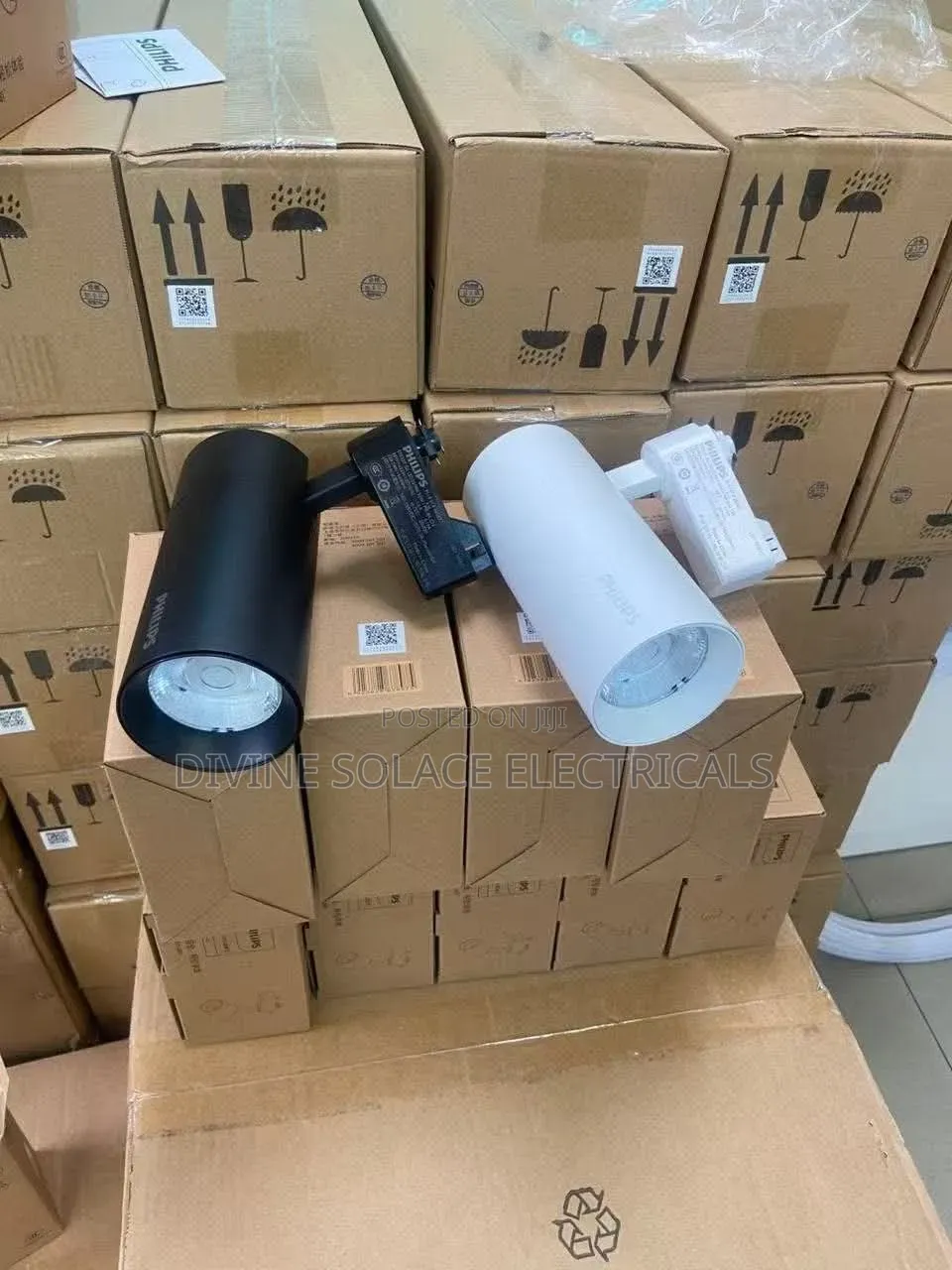 Philips Track Light