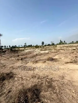 Own 500sqm C of O Land on Ibeju-Lekki Expressway | From ₦5M Deposit