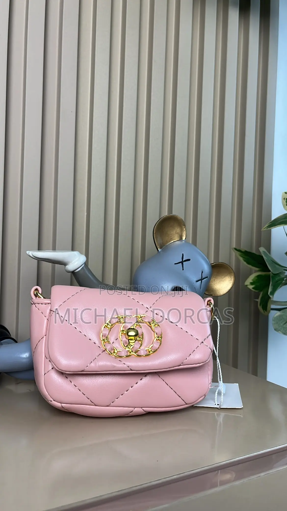 Your Mini Classes Bags