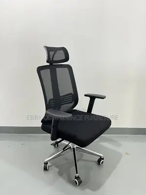 Ergonomic Mesh Chair