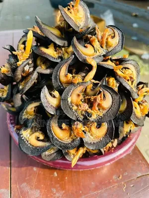 Premium Fresh Snails