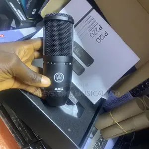 AKG- P120 Condenser Mic