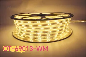 Warm White Rop Light