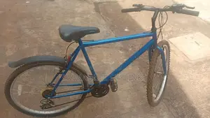 Adult Bicycle