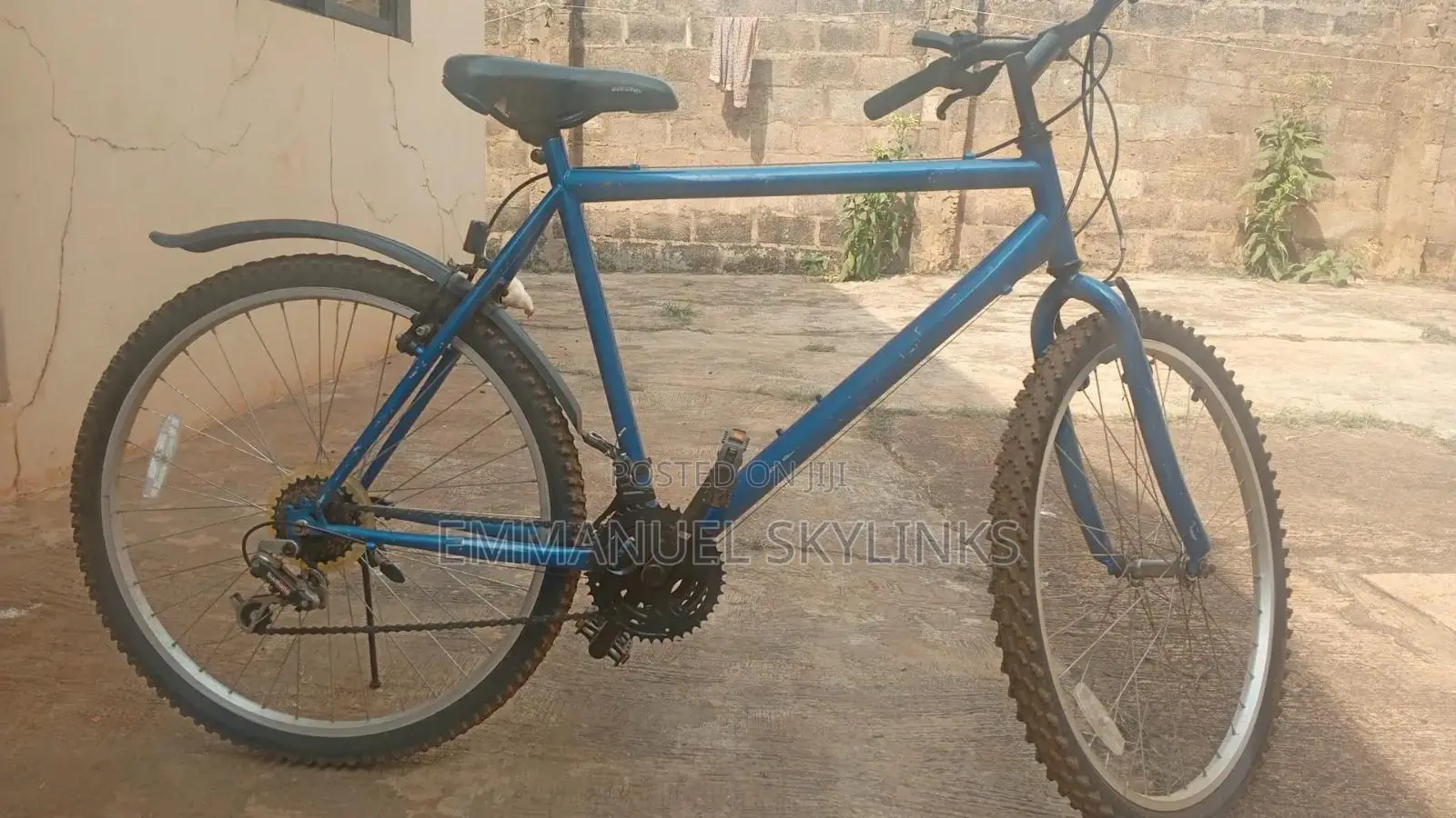 Adult Bicycle