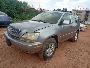 Lexus RX 2002 Gray
