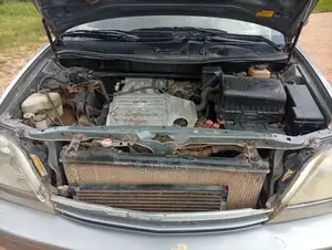 Lexus RX 2002 Gray