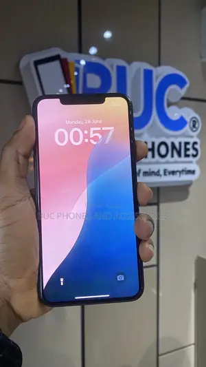 Apple iPhone 11 Pro Max 64 GB Black