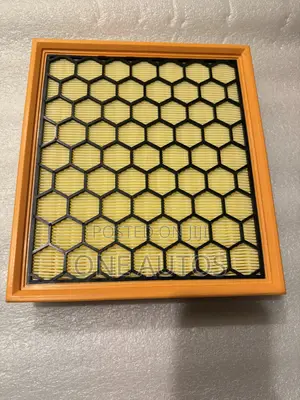 MAXUS T60 Engine Filter