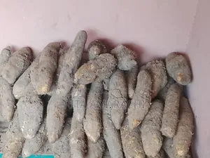 New Yam Petetoes