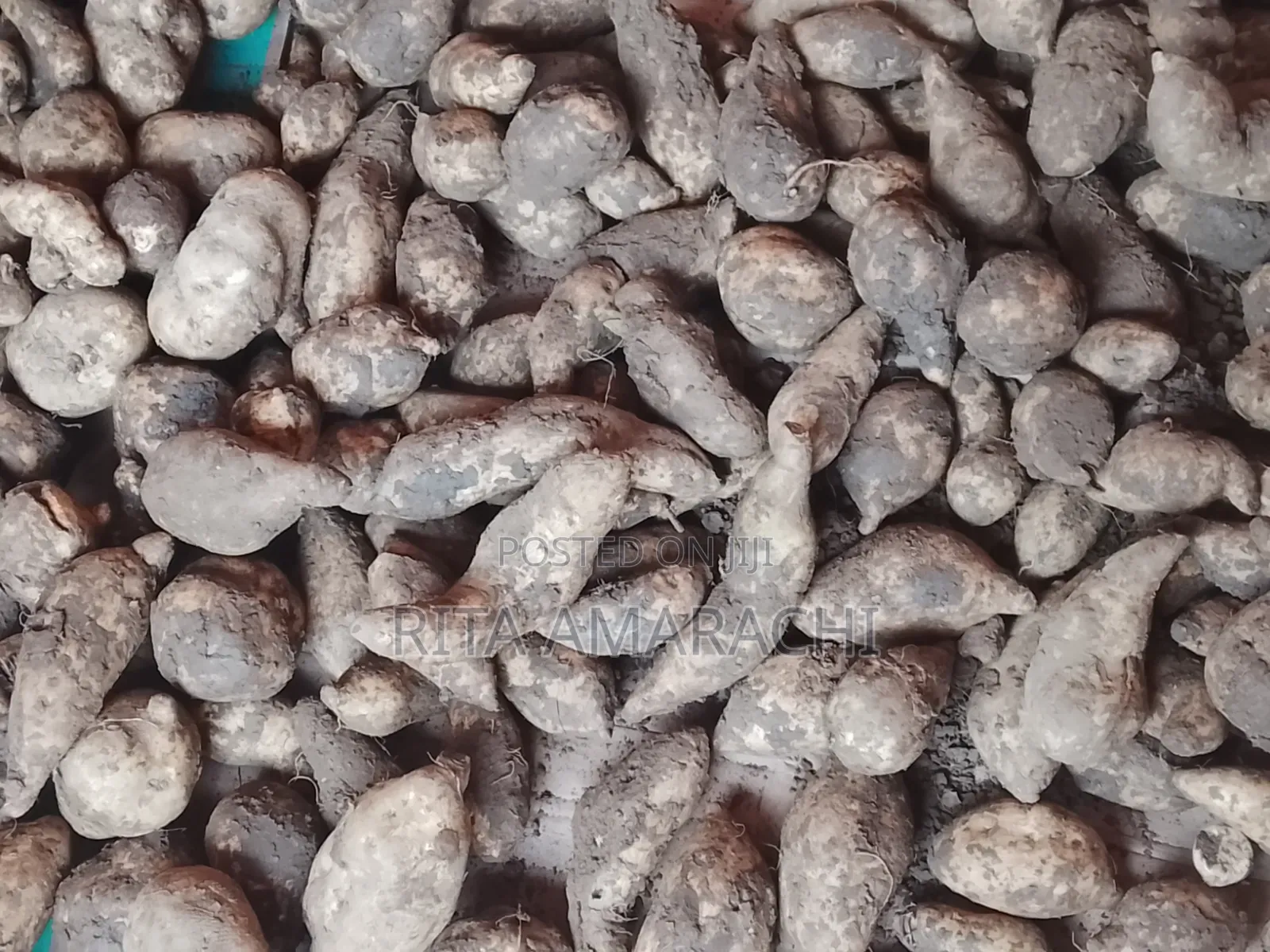 New Yam Petetoes