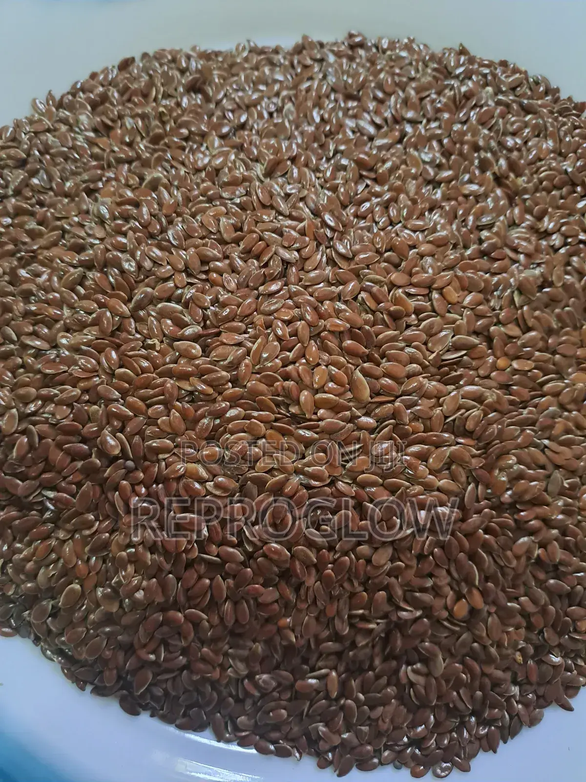 Flax Seeds