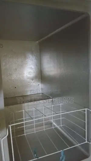 Skyrun Chest Freezer