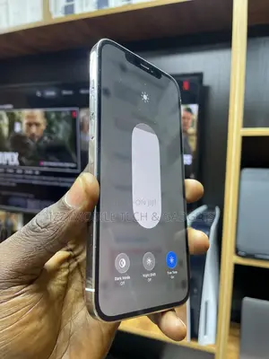 Apple iPhone 12 Pro Max 256 GB White