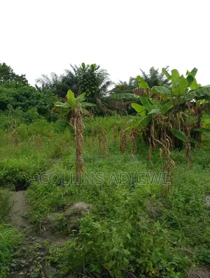 3 Plots Fenced Together for Sale in Awuyaya