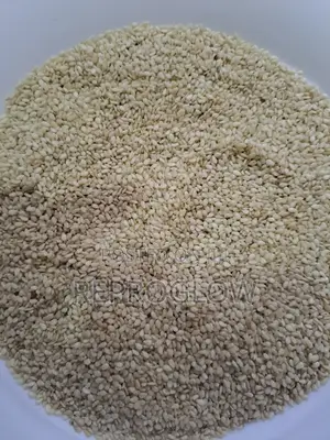 Sesame Seeds