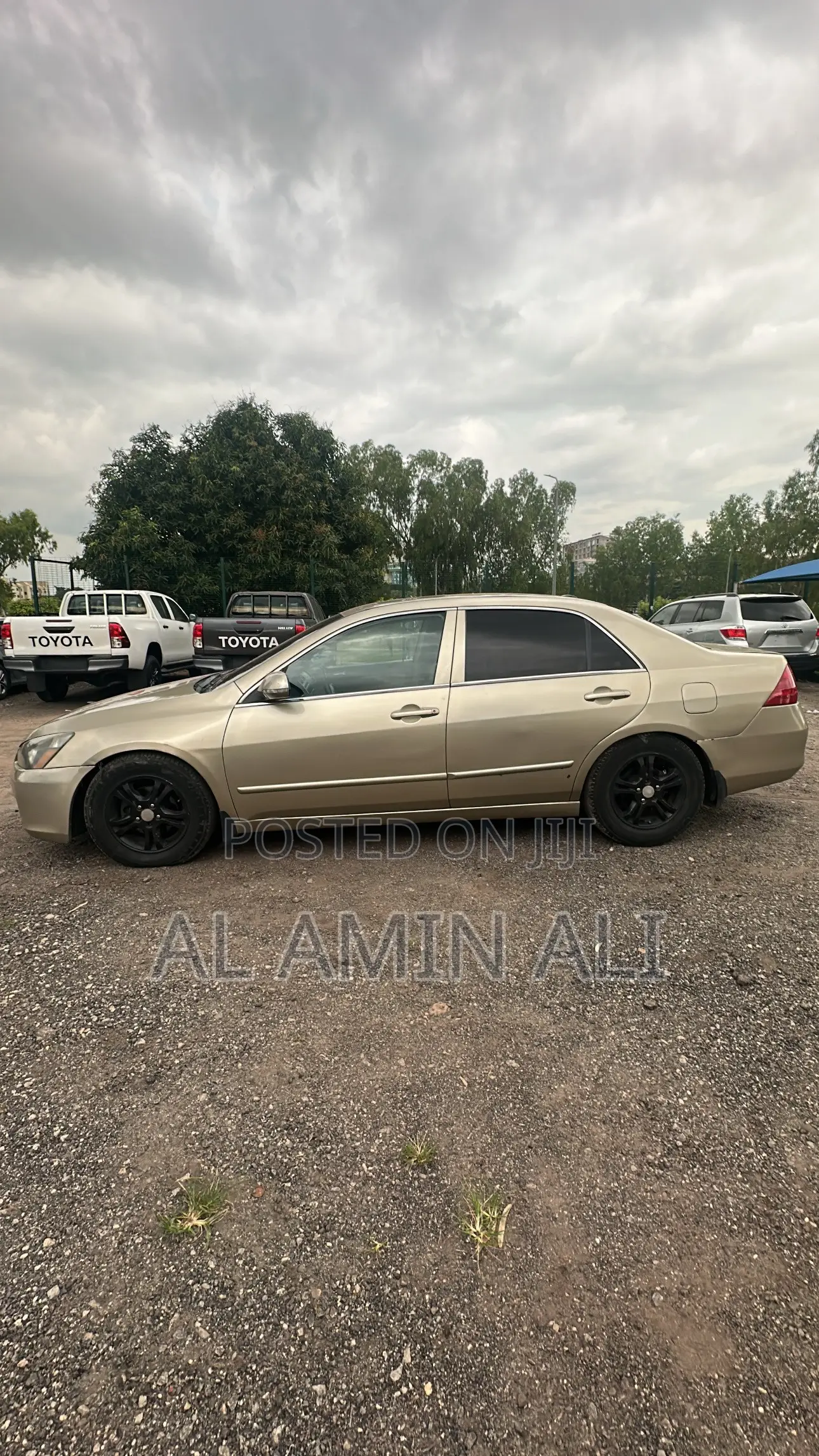 Honda Accord Automatic 2004 Gold