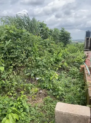 Land and Property