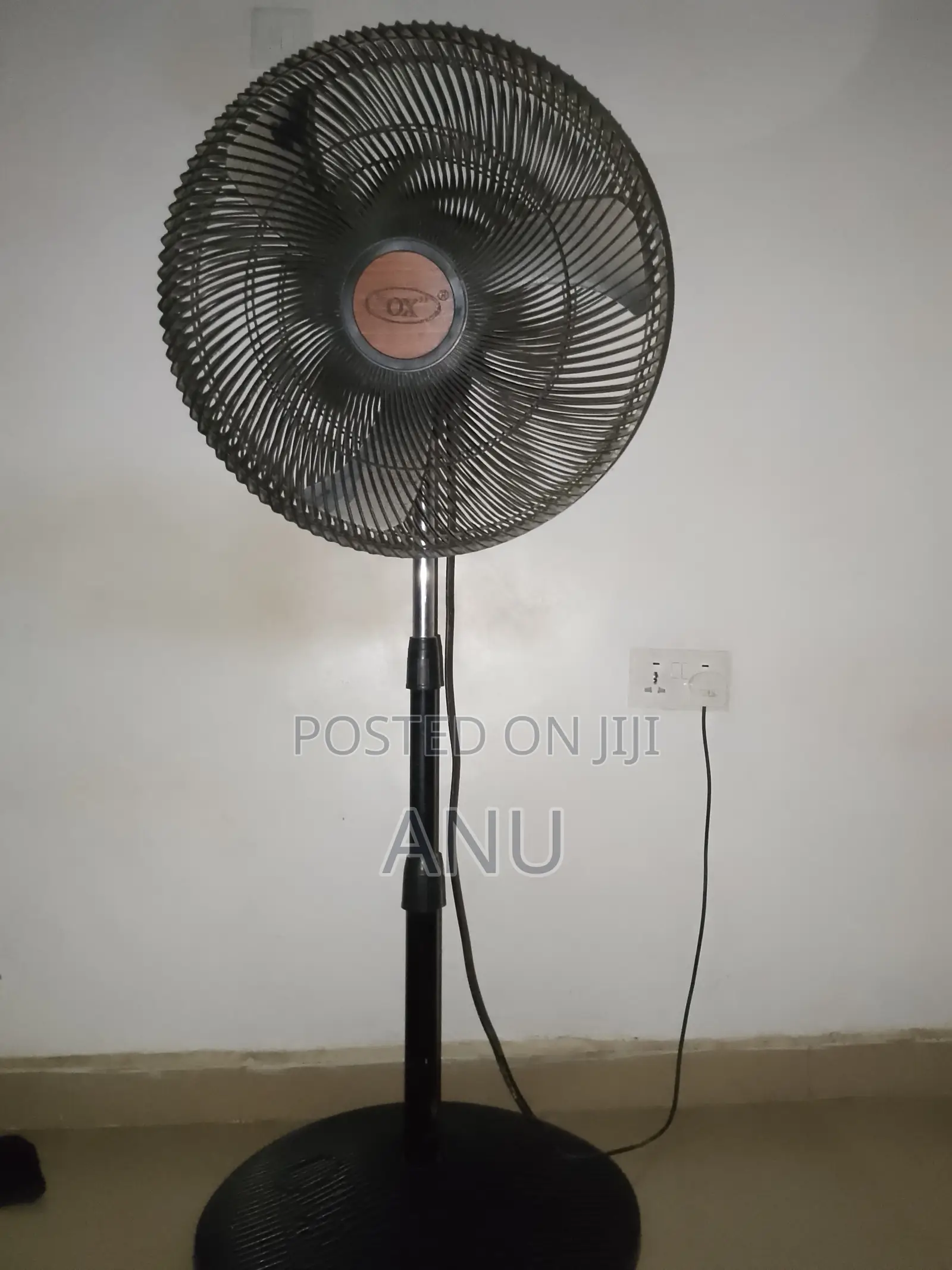 Standing Fan