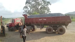 Solid Chippings