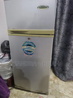 Haier ThermoCool Refrigerator