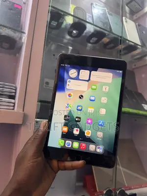 Apple iPad mini 5 (2019) 64 GB Gray