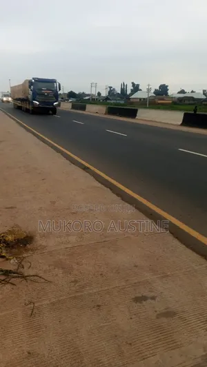 Certified Dangote and Bua Cement Distributor